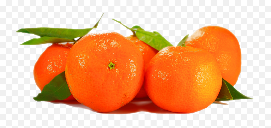 Isolated Fruit Plant Nature Close - Oraeng Png,Clementine Png