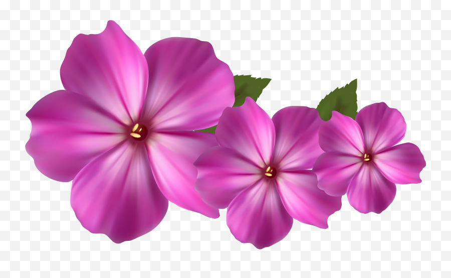 Pink Flower Decor Png - Purple Pink Flower Clipart,Decor Png