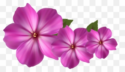 Pink Flower Decor Png - Purple Clipart