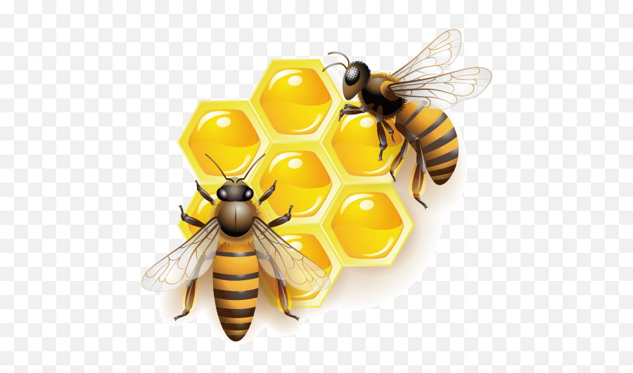 Honey Bee Clip Art - Honey Bee Png Transparent,Bee Transparent Background