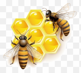 Honey Bee Clip Art - Honey Bee Png Transparent,Bee Transparent Background