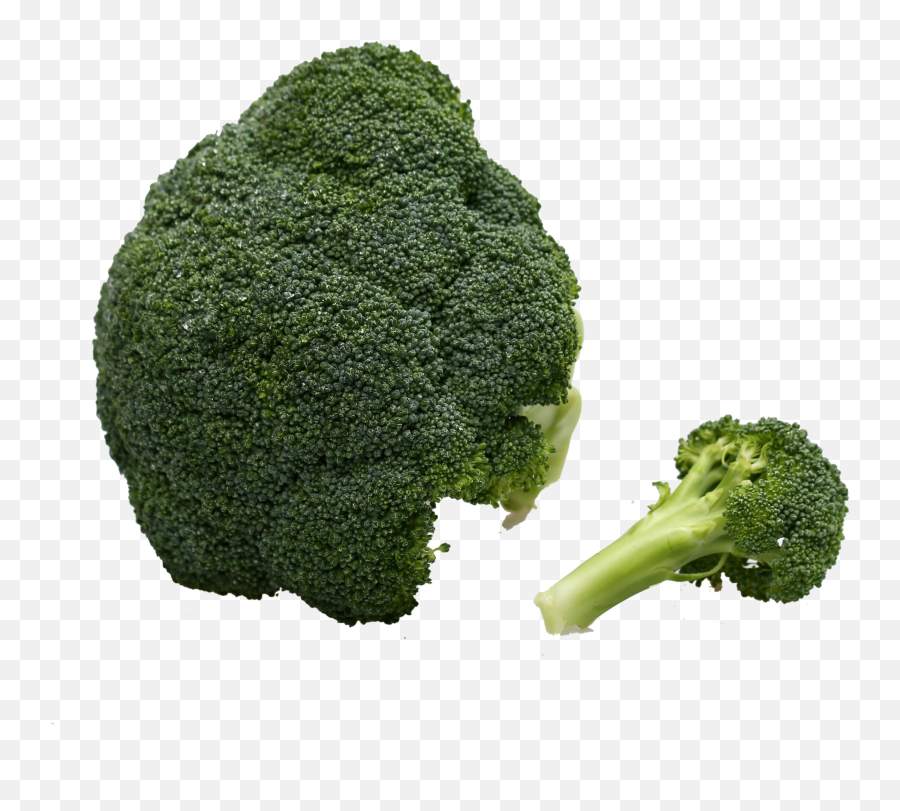Broccoli Vegetable Immune System - Vegetable Png,Broccoli Transparent