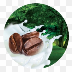 Coffee - Coffee Png,Plate Of Cookies Png