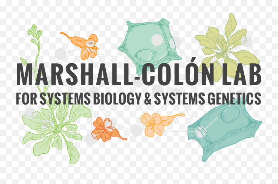 Marshall - Colon Logo Design M A N Clip Art Png,How To Design A Logo In Photoshop