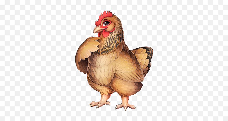 Chicken Furvilla Wiki Fandom - Furvilla Chicken Png,Hen Png