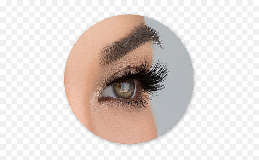 Lashes - Allura Lite Lashes Png,Lashes Png