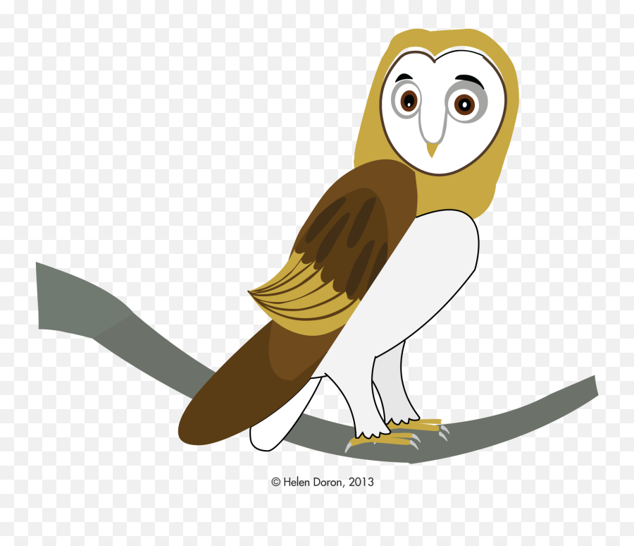 Download Hd Barn Owl Gyöngybagoly Transparent Png Image - Barn Owl,Barn Owl Png