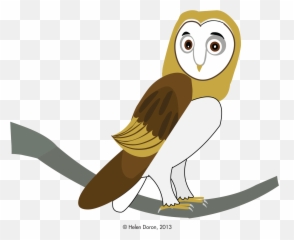 Download Hd Barn Owl Gyöngybagoly Transparent Png Image - Barn Owl,Barn Owl Png