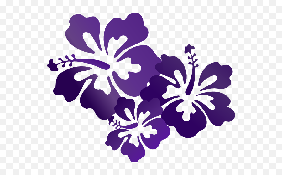 Purple Hibiscus Transparent U0026 Png Clipart Free Download - Ywd Purple Flower Vector Png,Hibiscus Flower Png