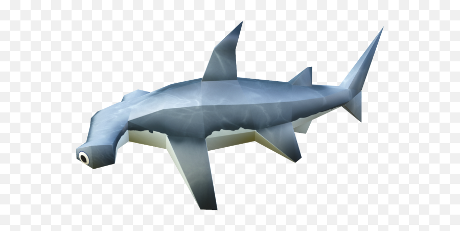 Download Hd Bronze Hammerhead Shark - Requiem Shark Png,Hammerhead Shark Png