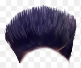 Hair Wig Png - Only Haire Images Download,Hair Style Png