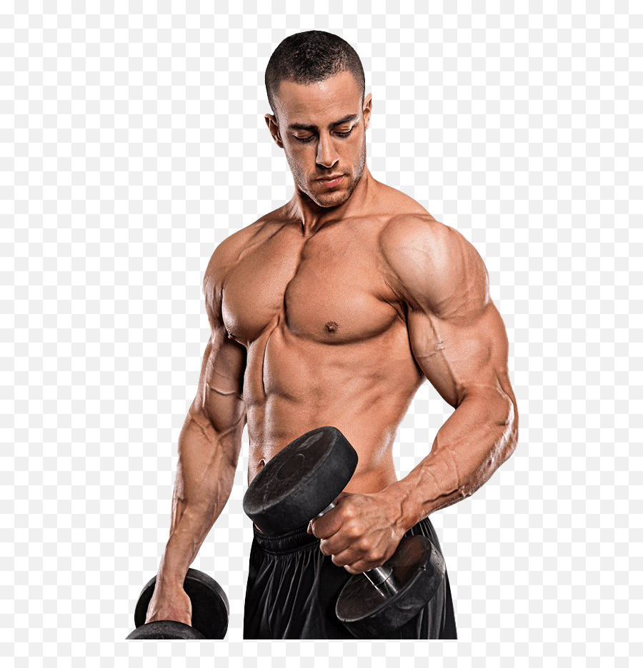 Male Gym Fitness Png Image Arts - Body Builder Man Hand,Bodybuilder Png
