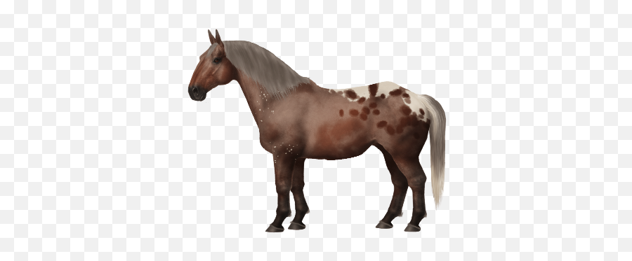 Transparent Witch U2022 Horse World Online - Horse Pony Png,Transparent Witch