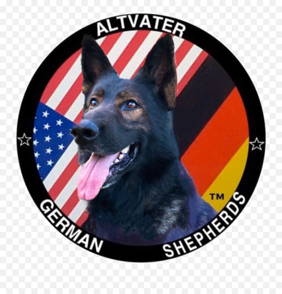 Altvater German Shepherds Png Shepherd Transparent