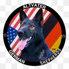 Altvater German Shepherds Png Shepherd Transparent