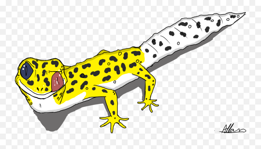 Leopard Gecko Cartoon Png Clipart - Cartoon Leopard Gecko Drawing,Leopard Gecko Png