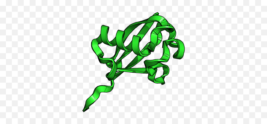 Oval U2013 Kpwuu0027s Group Research Site - Pymol Cartoon Style Option Png,Cartoon Arrow Png