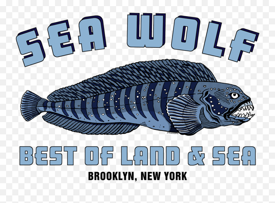 Home U2014 Sea Wolf Png Blue Logo