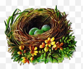 Vintage Birds Nest Png - Bird Nest Images Hd Download,Nest Png