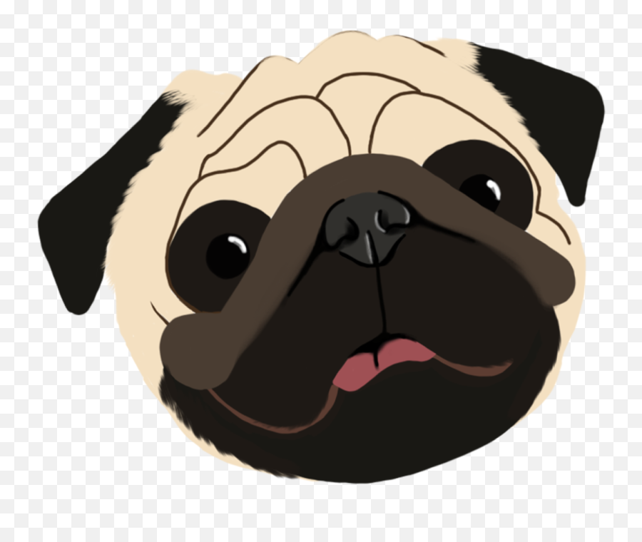 Browse Thousands Of Pug Images For Design Inspiration Dribbble - Happy Png,Pug Icon