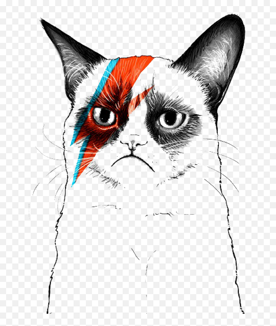 Grumpy Cat Musician Artist - David Bowie Grumpy Cat Png,Sad Cat Png