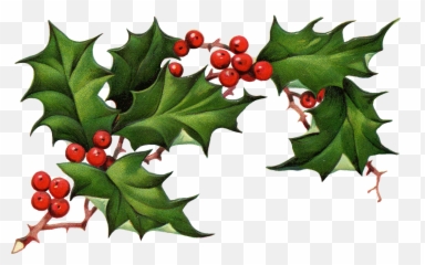Clip Art Royalty Free Library Png Files - Mistletoe Red Or White,Ivy Png