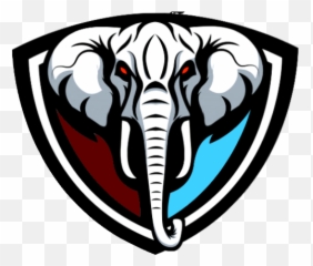 Clod Jr Cf19900 - Playstation 4 EFA player profile Black Elephant Logo png