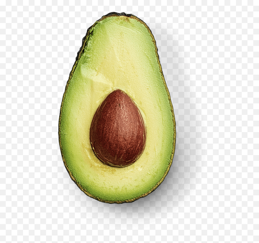 Avopacific - Hass Avocado Png,Icon 1000 Elsinore Hp Boots