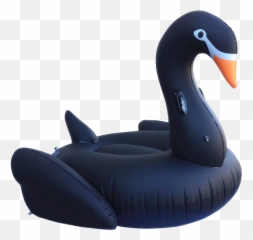Giant Inflatable Black Swan Pool Float - Transparent Pool Floats Png,Pool Float Png