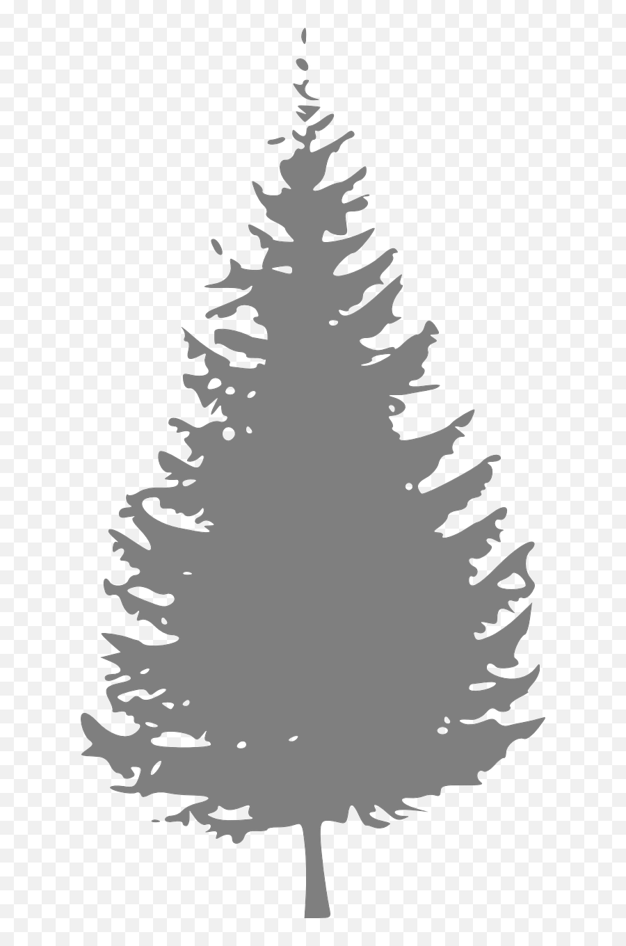 Gray Pine Tree Clip Art - Pine Tree Clipart Black And White Png,Pine Trees Png