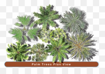 Garden Png Top - Landscape View