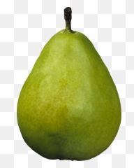 Png Pear