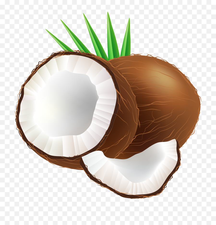 Coconut Png Clip Art - Coconut Clipart Transparent Background,Coconut Png
