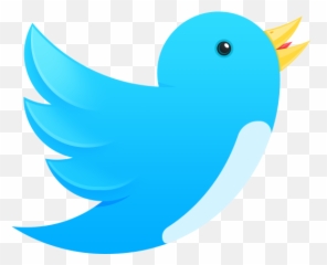 Twitter Bird Icon Png Transparent - Bird Icon Png