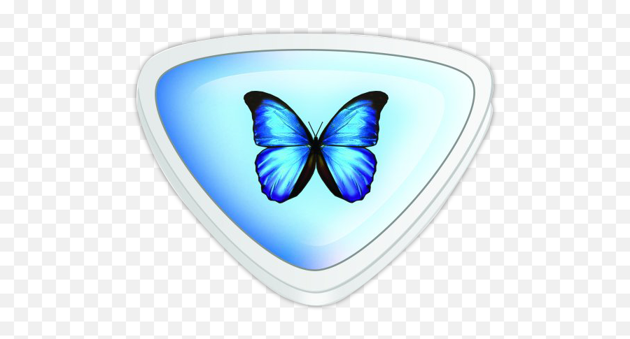 Contact Mariposa Pwd - Holly Blue Png,Mariposa Png
