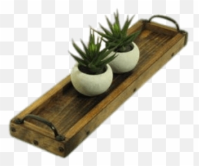 Succulent Top View Transparent Png - Table,Grass Top View Png