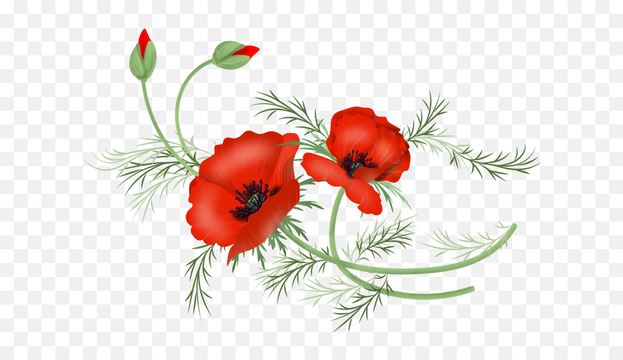 Download Vector Poppy Png - Free Poppy Vector File,Poppy Png