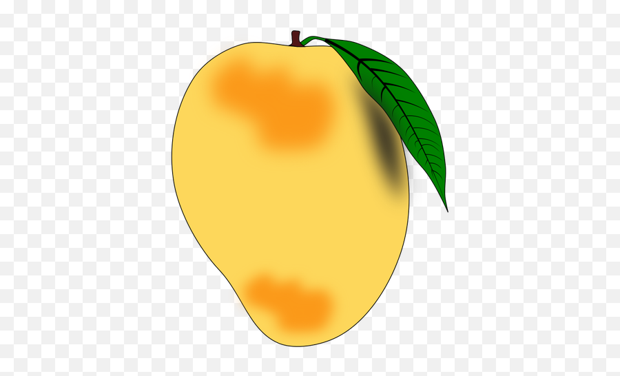 Mango Leaf Vector Png Image - Clipart Image Of Mango,Mango Transparent Background