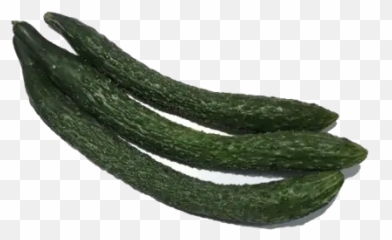 Hong Kong Organic Cucumber 1 Lb 454g - Gourd Png,Zucchini Png