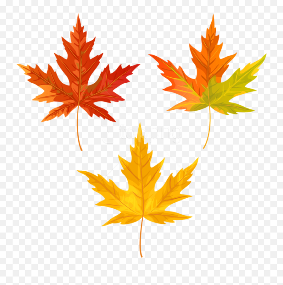Download Free Png Orange Fall Leaves Clipart - Clip Art Fall Leaves Png,Fall Leaves Clipart Png