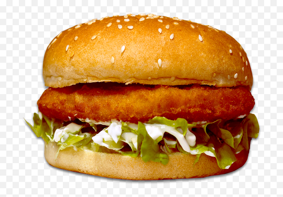 Cheeseburger Hamburger Salmon Burger - Transparent Photo Of A Burger Png,Burger King Png