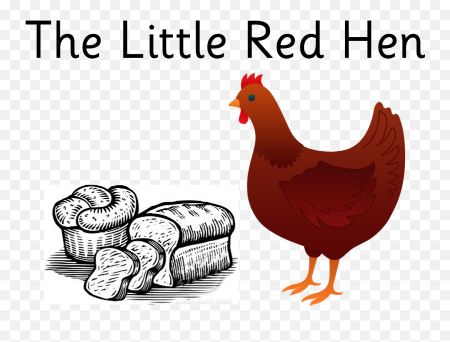 Download Printable Picture Of Hen - Full Size Png Image Pngkit Red Hen Clipart Png,Hen Png