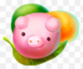 Mochi - Domestic Pig Png,Mochi Png