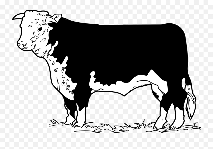 Cow Beef Clip Art Hd Png Download - Cow Clip Art Beef,Cow Clipart Png