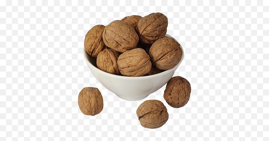 Victorian Walnuts In Shell Jumbo - Walnut Png,Walnuts Png