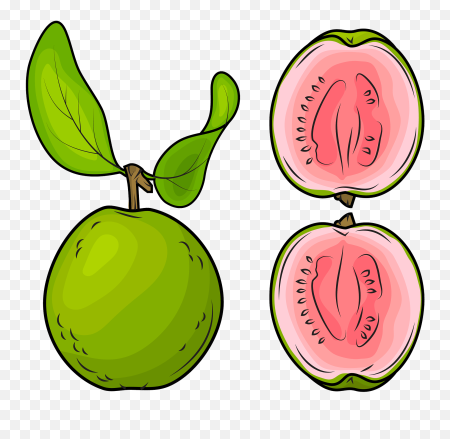 Whole Guava And A Half Clipart - Set Of Guavas Clipart Png,Guava Png