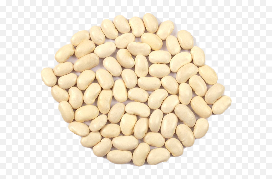 Kidney Beans Png Pic Background Play - Seed,Beans Png