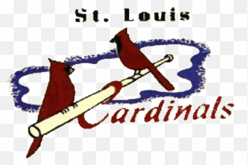 St - St Louis Cardinals Png,Cardinal Baseball Logos