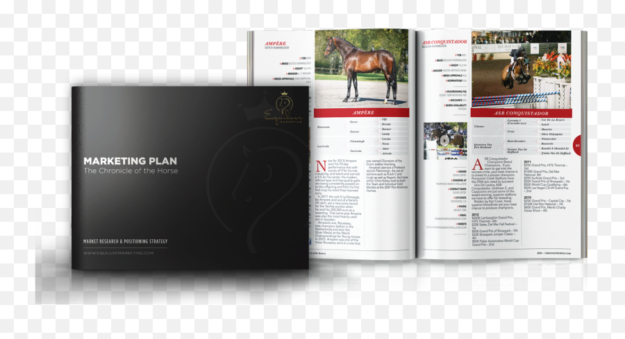 Equiluxe Marketing Equine Website Design And - Stallion Png,Horse Logos