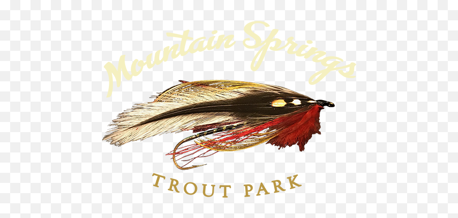 Mountain Springs Trout Park U2013 You Catch U0027em We Clean - Animal Product Png,Fly Fishing Icon